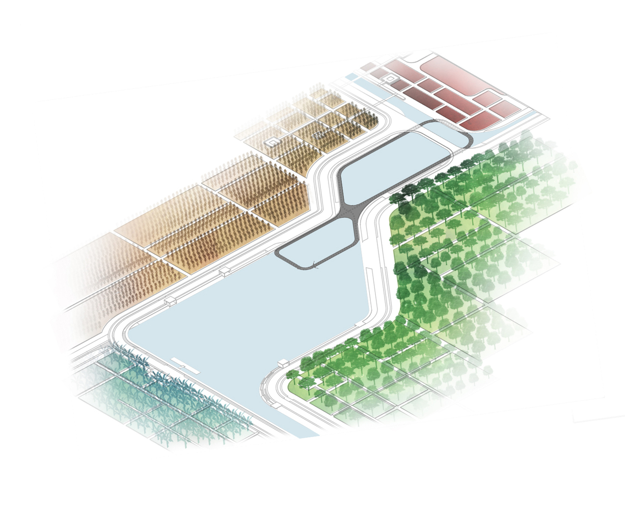 越南 Cuchi 有机农场-15