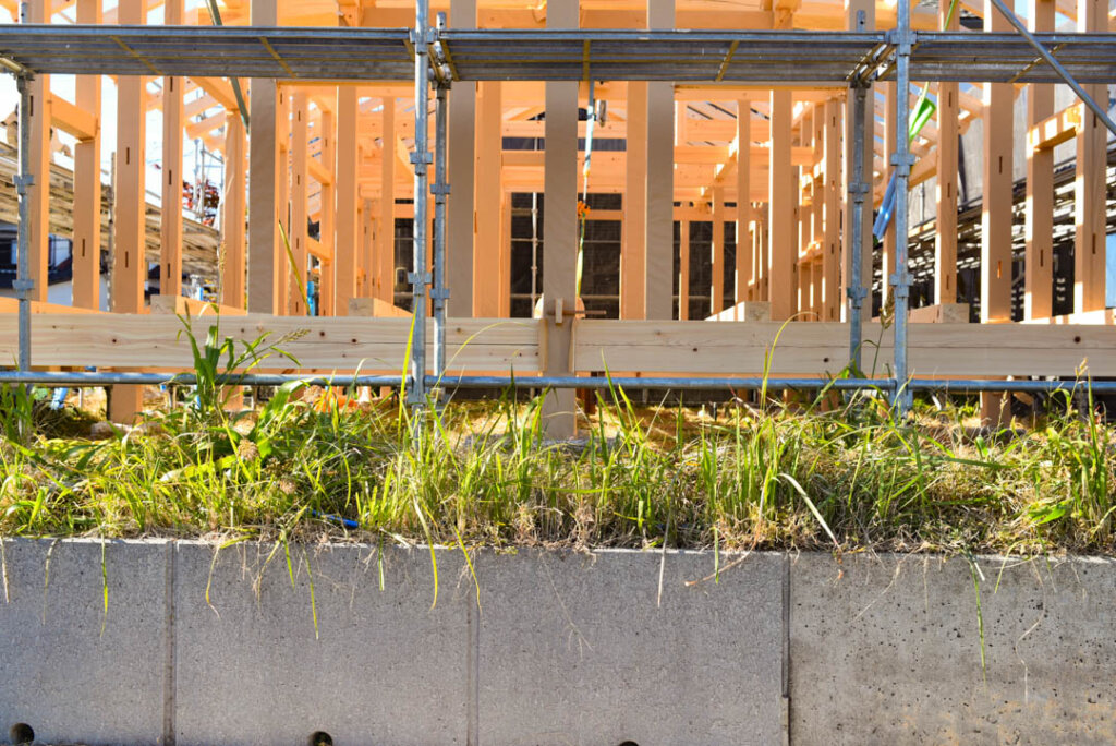 根の上の石場建て８　建前丨水野设计室-70