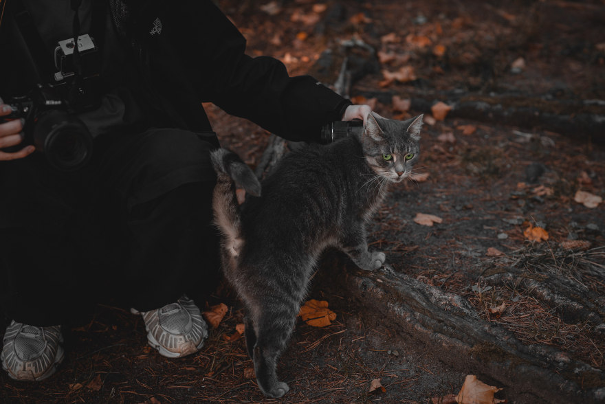 芬兰湾度假村设计-8