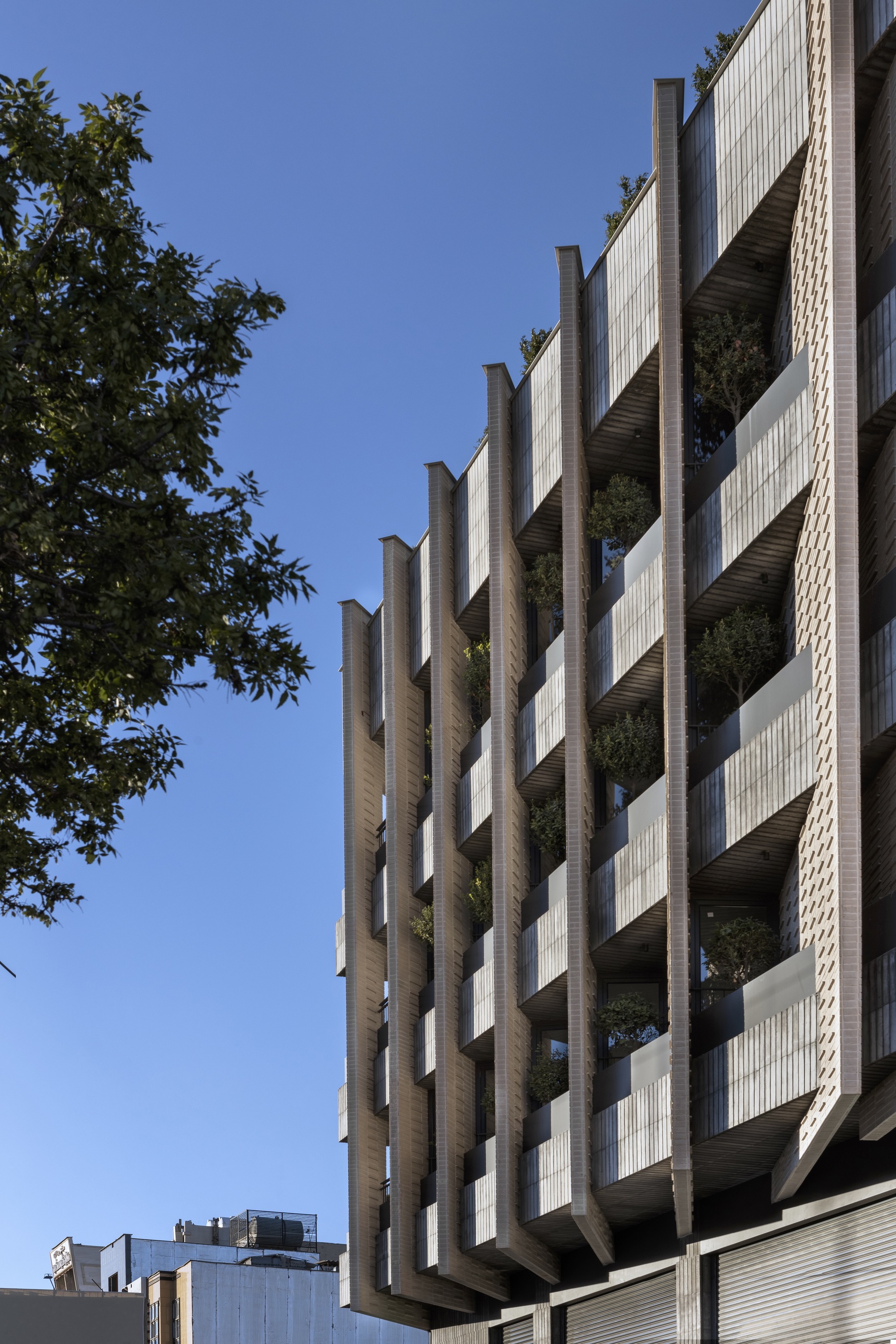 侧身公寓丨伊朗丨Ashari Architects-33