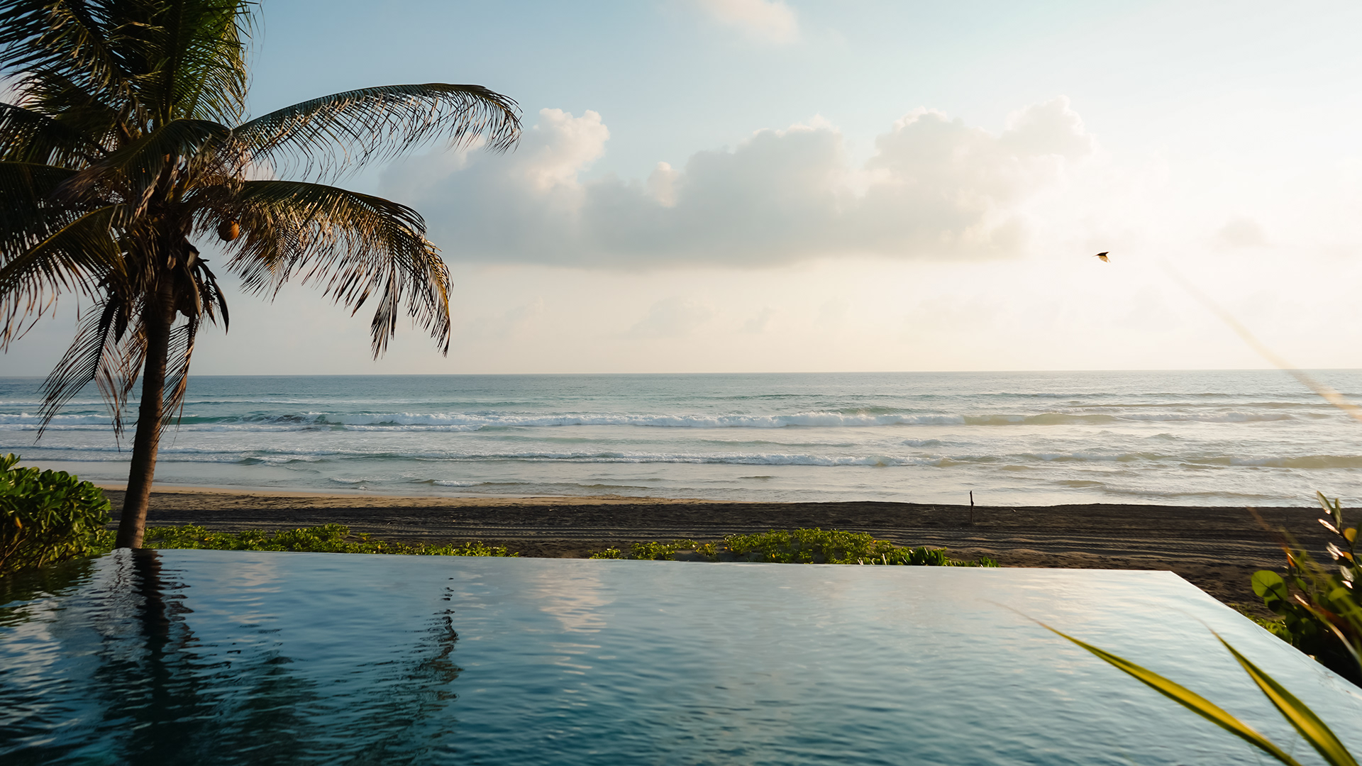 MUSA [Modern Utopian Society of Adventurers]-11