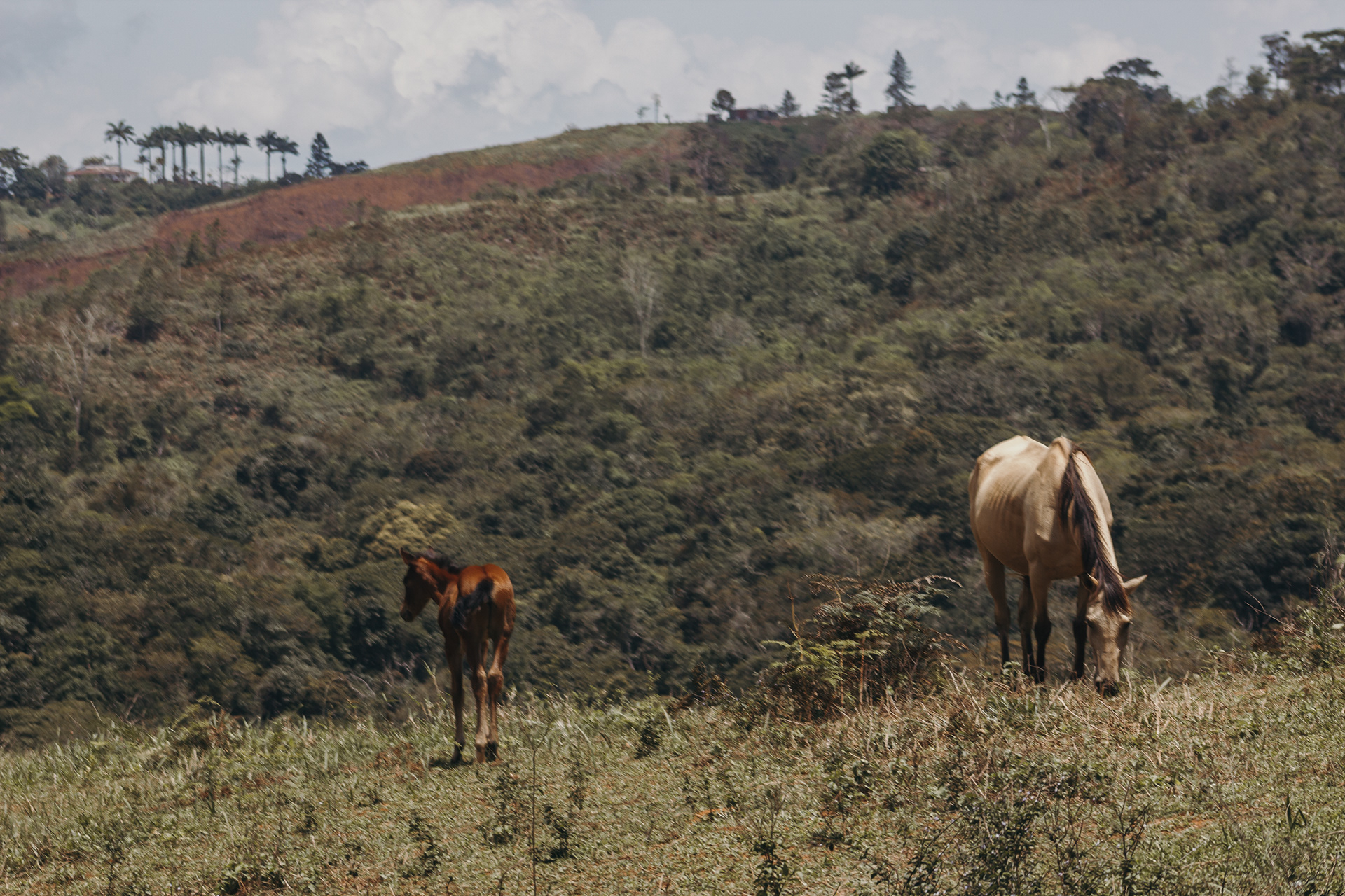 CMG 营地测绘丨委内瑞拉-26