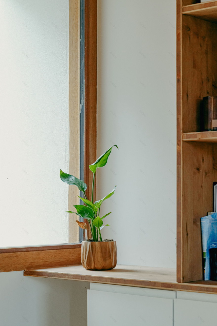 Maison Champion 住宅丨法国丨Thibaut Bertet Architecte-26