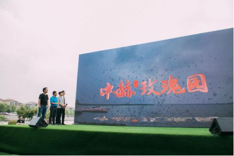 似是惊鸿照影来︱定制精装苏南分•中赫玫瑰园雅鉴-9