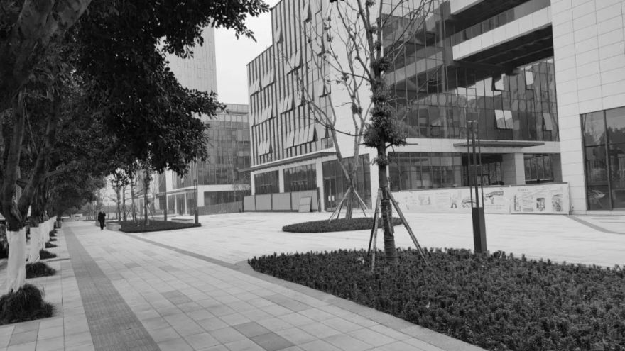 重庆两江新区互联网产业园景观提升项目丨中国重庆丨重庆道合园林景观规划设计有限公司-48