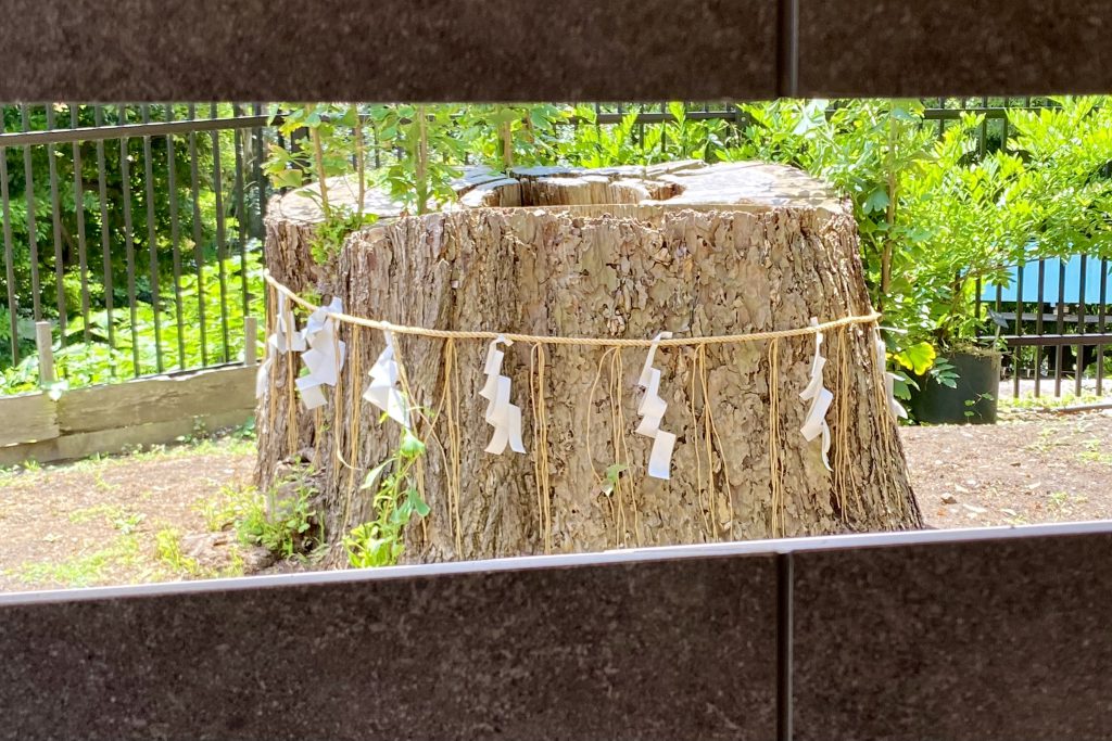 上野东照宫神符授与所・静心所丨日本神奈川丨中村拓志&NAP建筑设计事务所-17