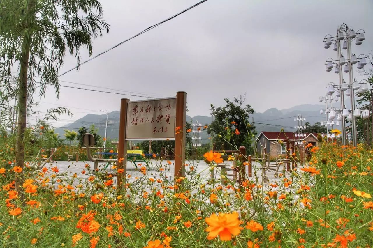 西安“小岳岳”放着豪宅不住，却跑到大山里花费百万爆改四合院，这一次却火爆整个民宿圈-159