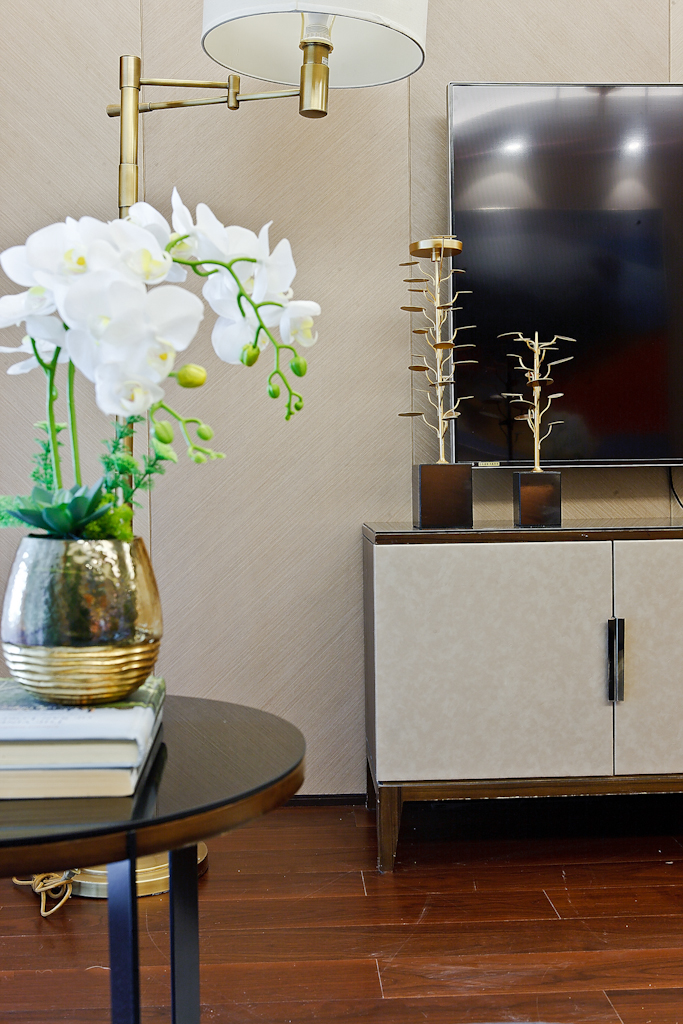 马鞍山朗诗熙华府混搭风样板房空间摄影-10