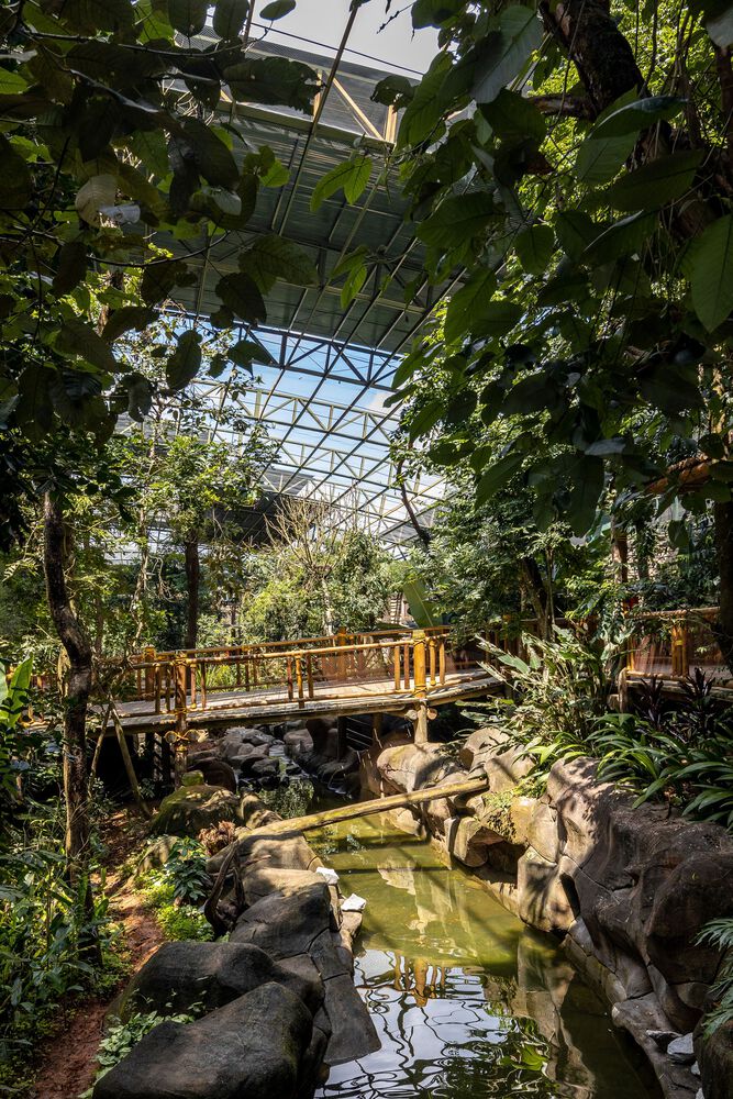 沉浸式动物园设计丨巴西圣保罗丨Alessandro Malara-9