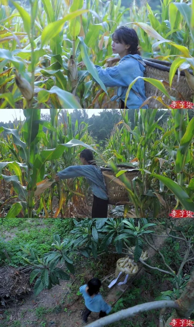 李子柒家居搭配揭秘 | 世外桃源的创意设计-108