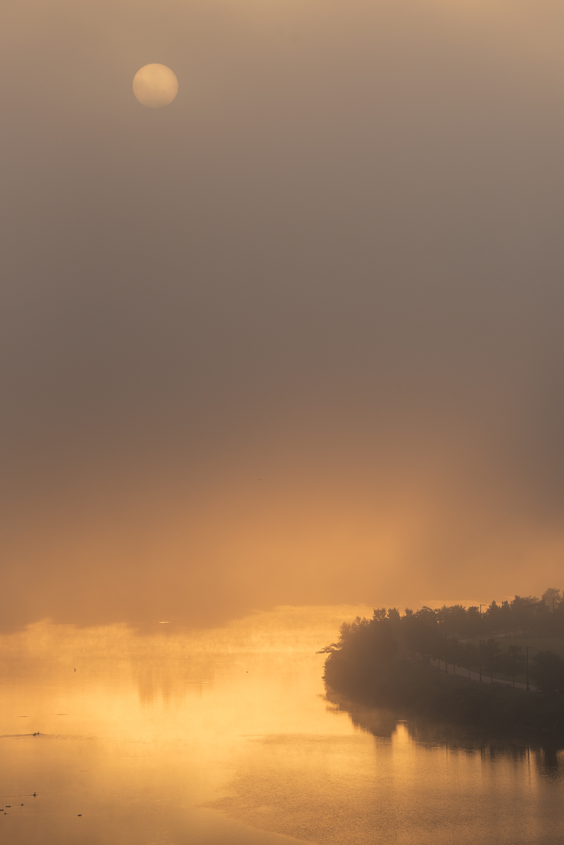 Knoxville, TN (USA).-39