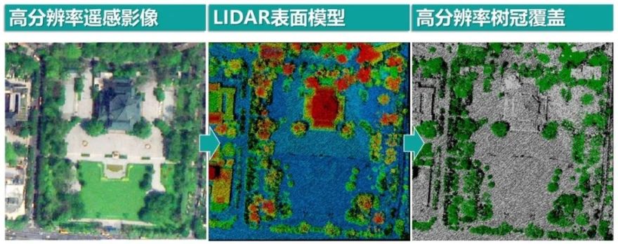 越秀树冠规划丨中国广州丨广州市城市规划勘测设计研究院-25