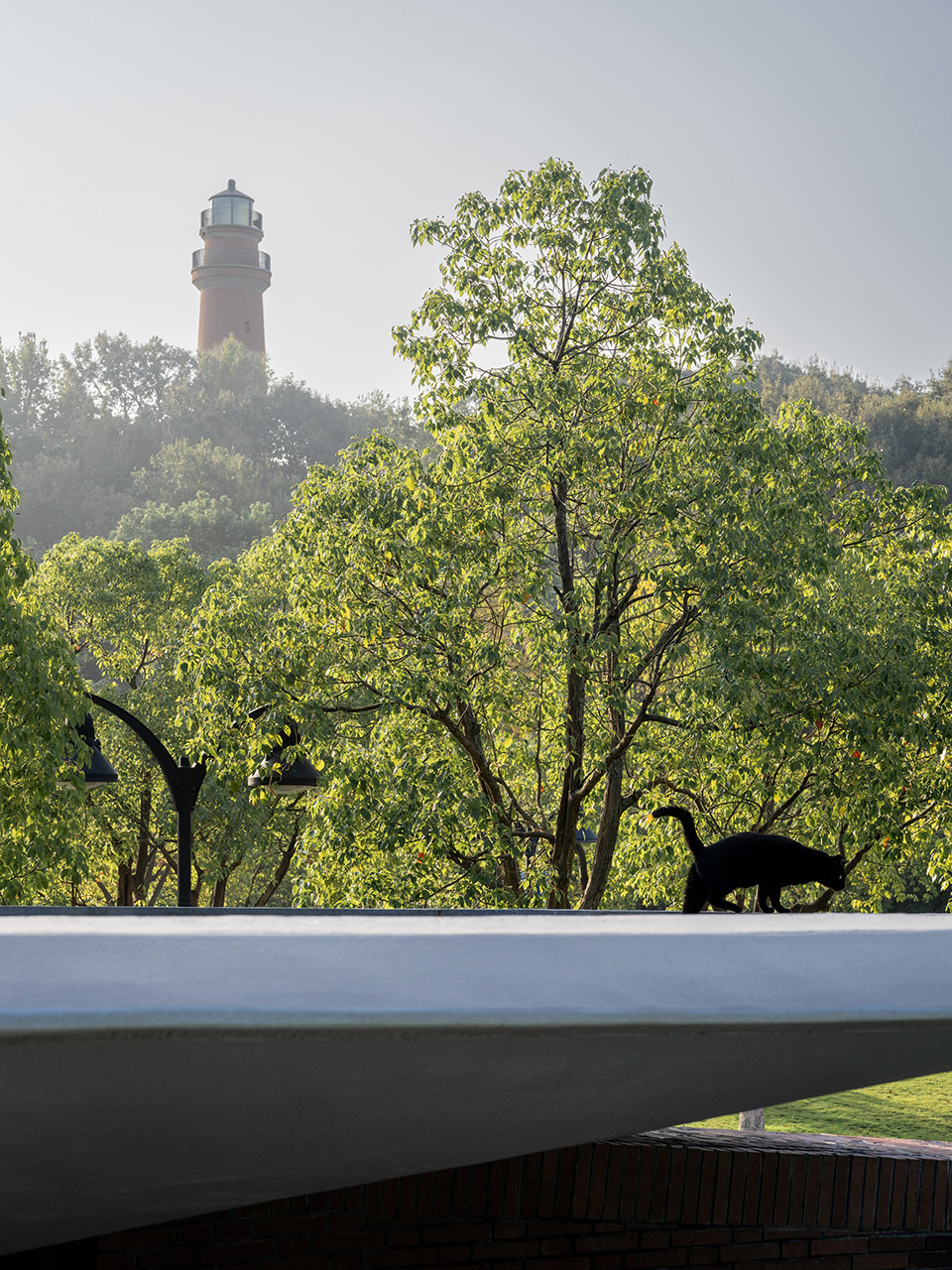 悬瀑亭丨中国舟山丨浙江大学建筑设计研究院-6