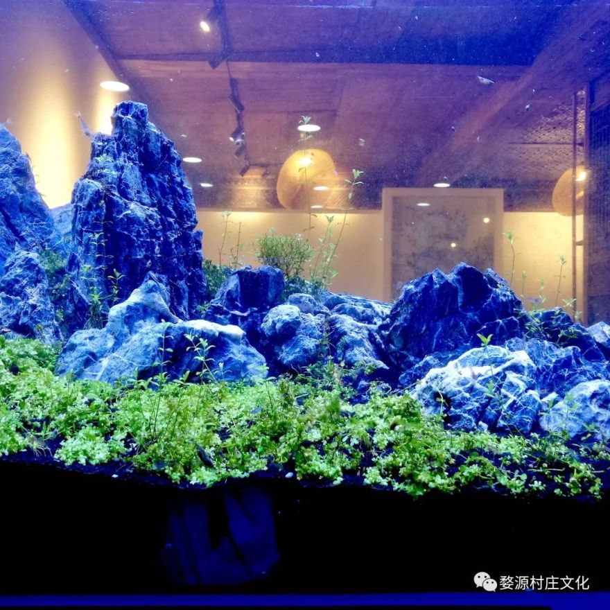 婺源县村庄文化传媒有限公司---花园式办公理念-72