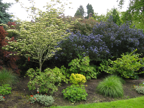 伊斯特莫兰花园画廊与规划方案丨Hannan Garden Design-9