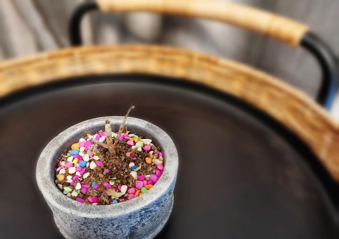 北欧风网红家居实景鉴赏-20