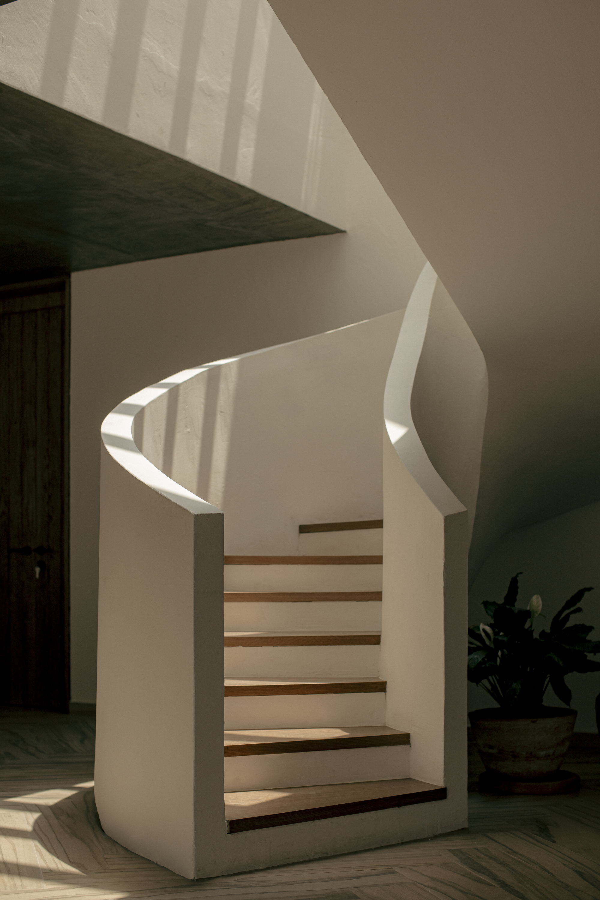 圣伊格纳西奥之家丨墨西哥丨Amarillo Amate Arquitectura-35