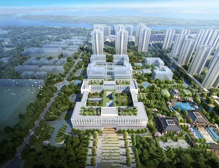 筑博设计 | 漳州泰禾医院,人性化医疗空间的典范-9