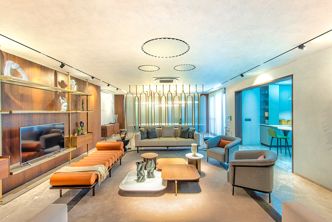 蒸馏器联排别墅 24 号丨印度丨Alembic Real Estate-3