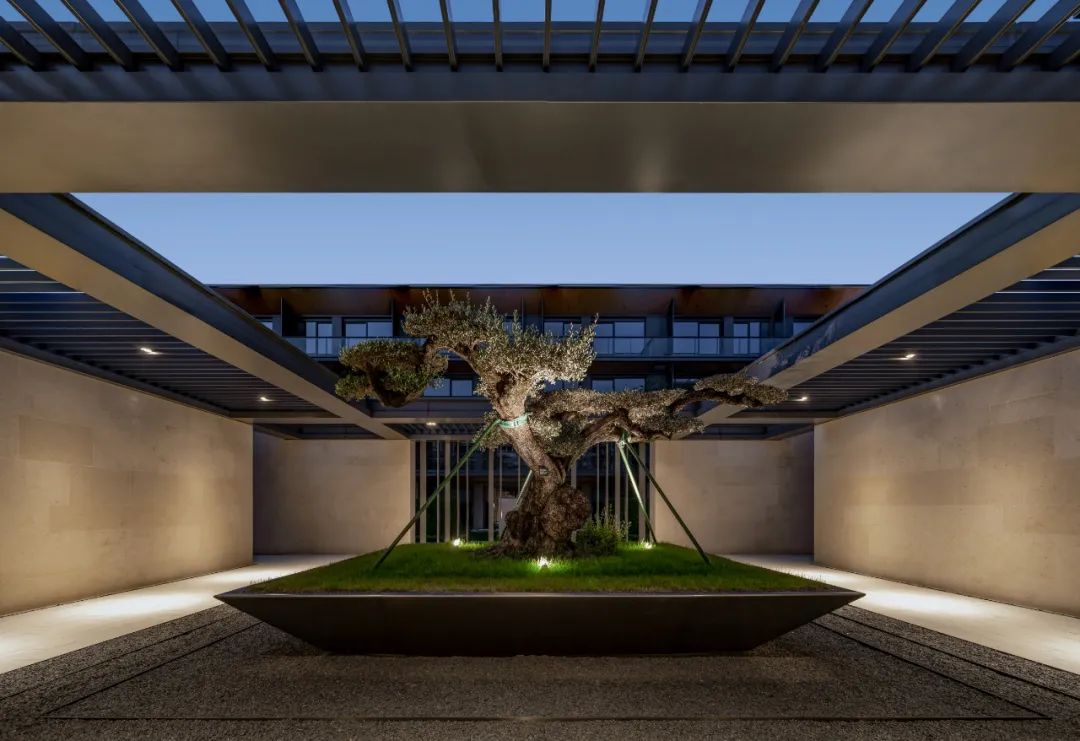 台州朗成江南墅丨中国台州丨LANDAU 朗道国际设计-21