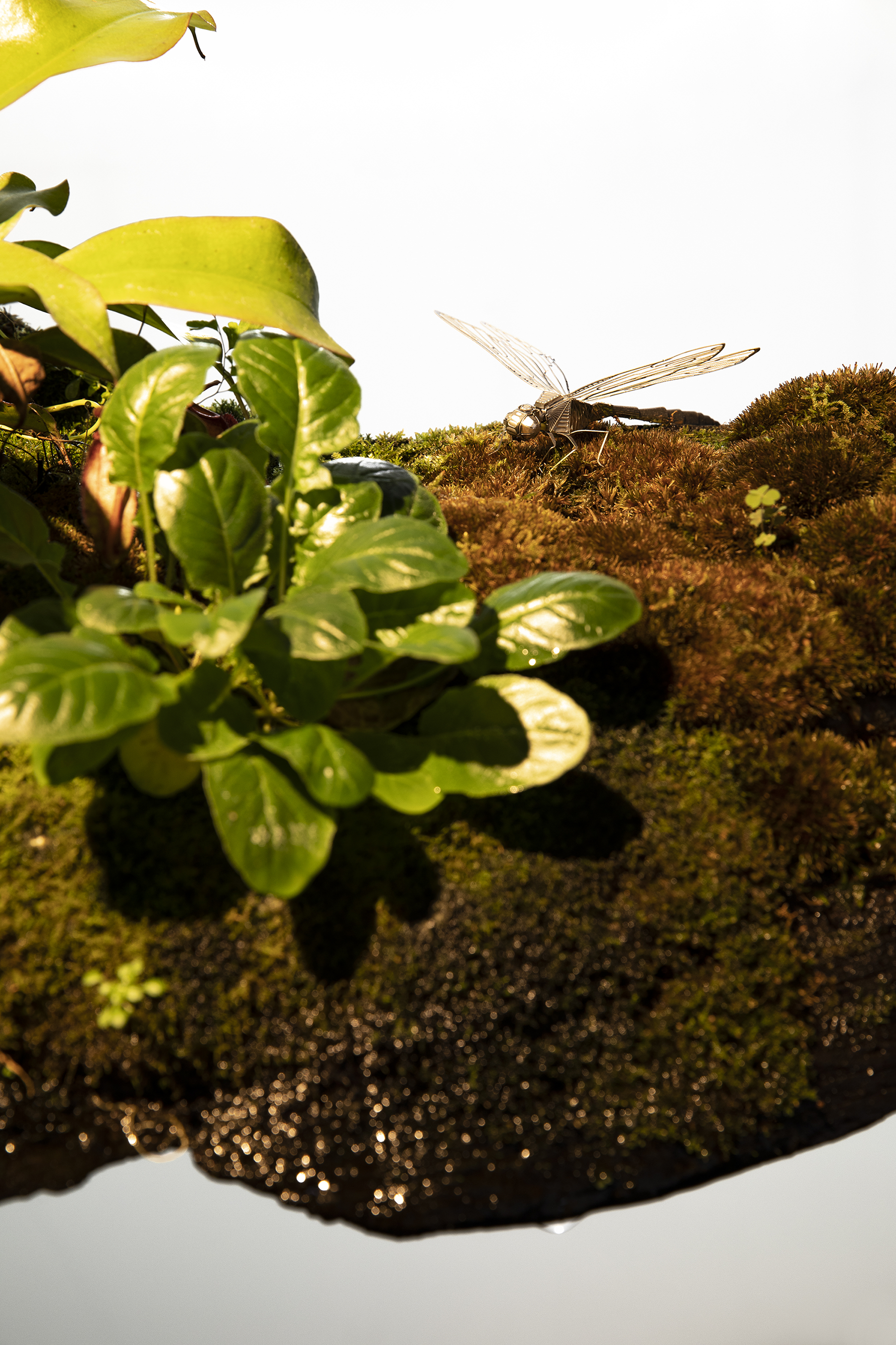 YANNO.46办公室丨中国厦门丨岩肆拾陆号建筑装饰设计（厦门）有限公司-17