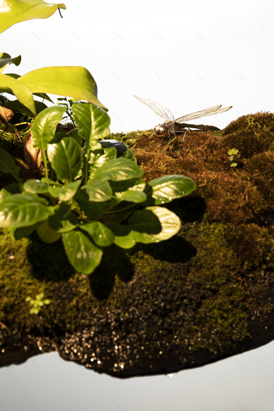 YANNO.46办公室丨中国厦门丨岩肆拾陆号建筑装饰设计(厦门)有限公司-17