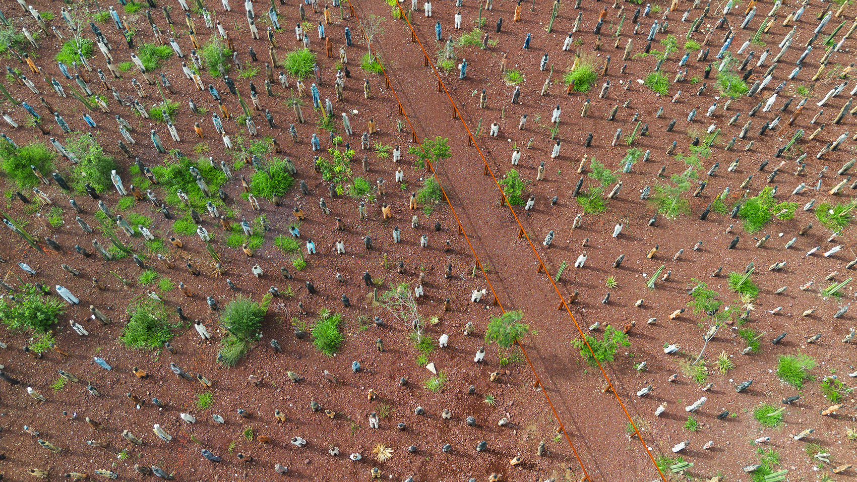 Parque Primavera Oaxaqueña Cho Ndobá城市更新丨墨西哥丨RootStudio-49