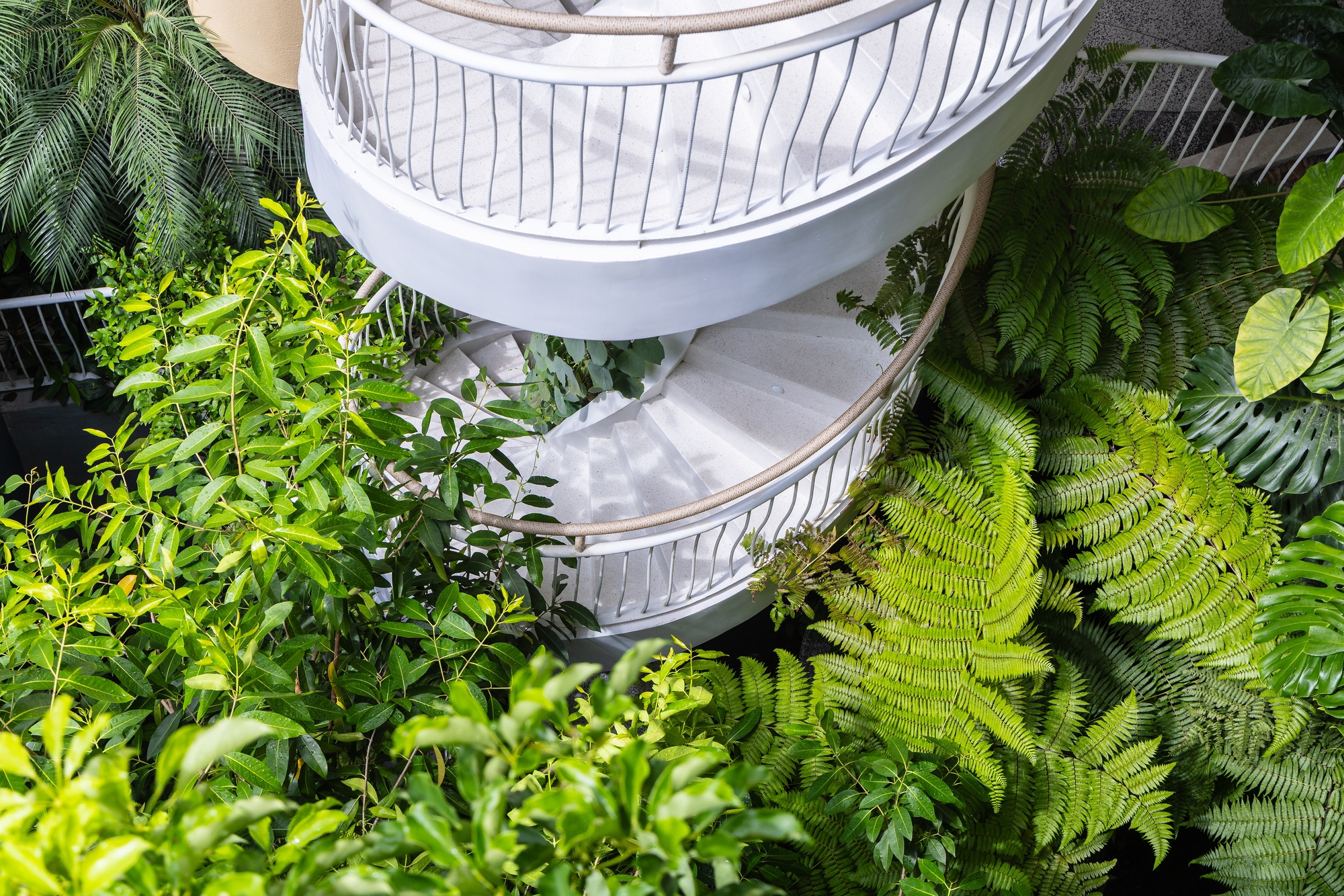 萨哈卡萨精品酒店设计！丨Ho Khue Architects-28