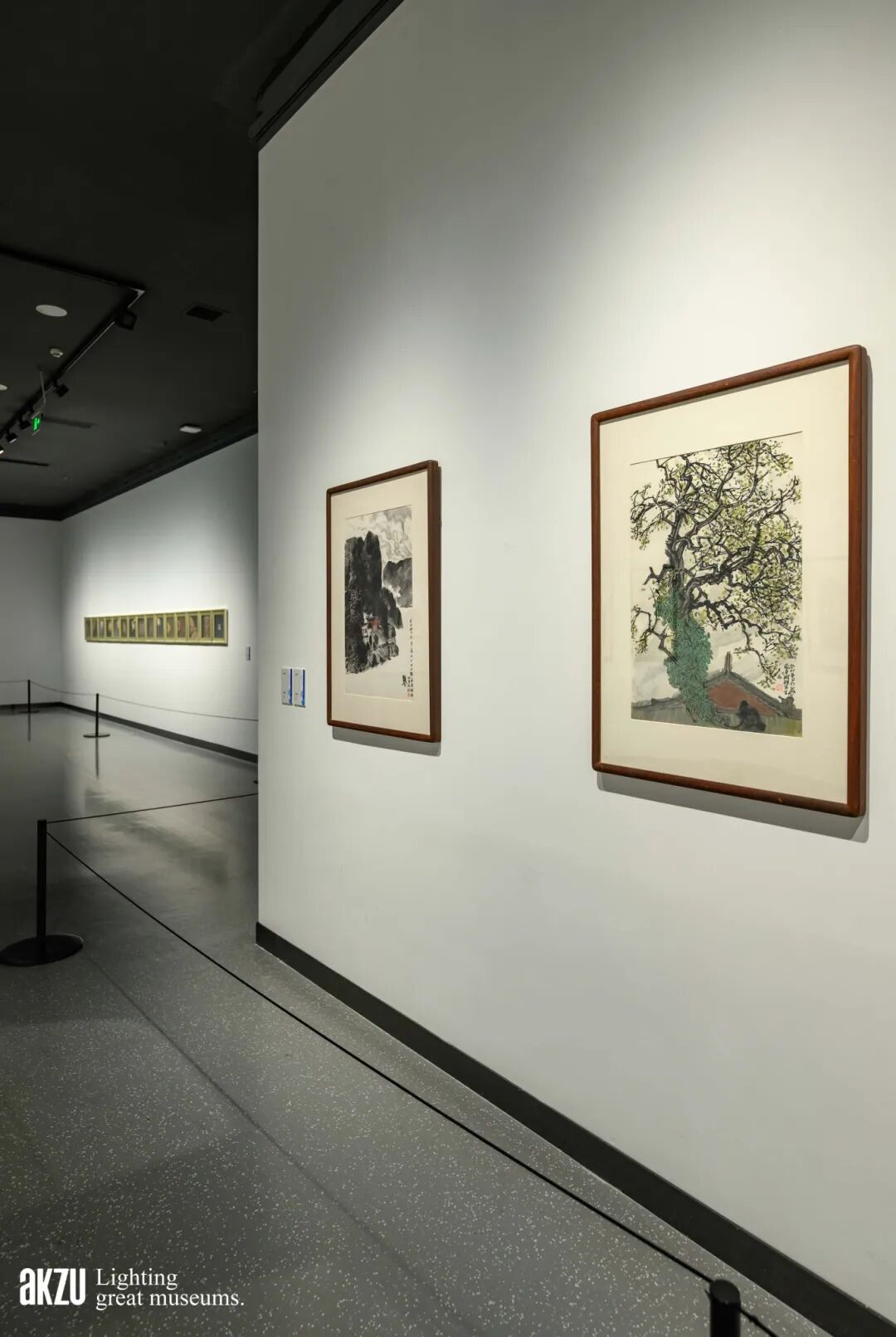 埃克苏美术馆照明项目|岳阳市美术馆：《在东方|画里中国诗意巴陵·当代中国画作品展》-33