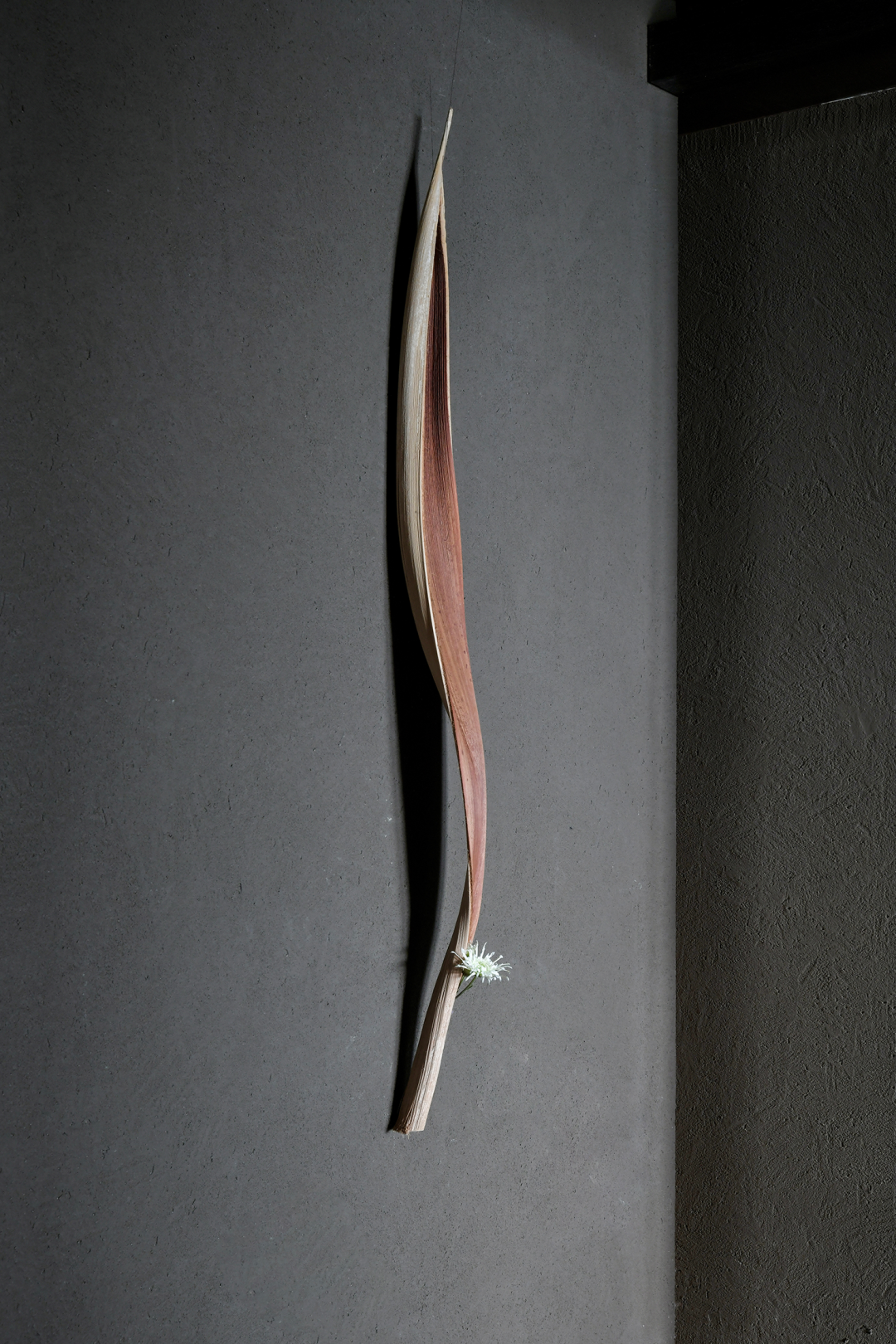 夕方茶廊丨中国厦门丨宽品设计顾问-61