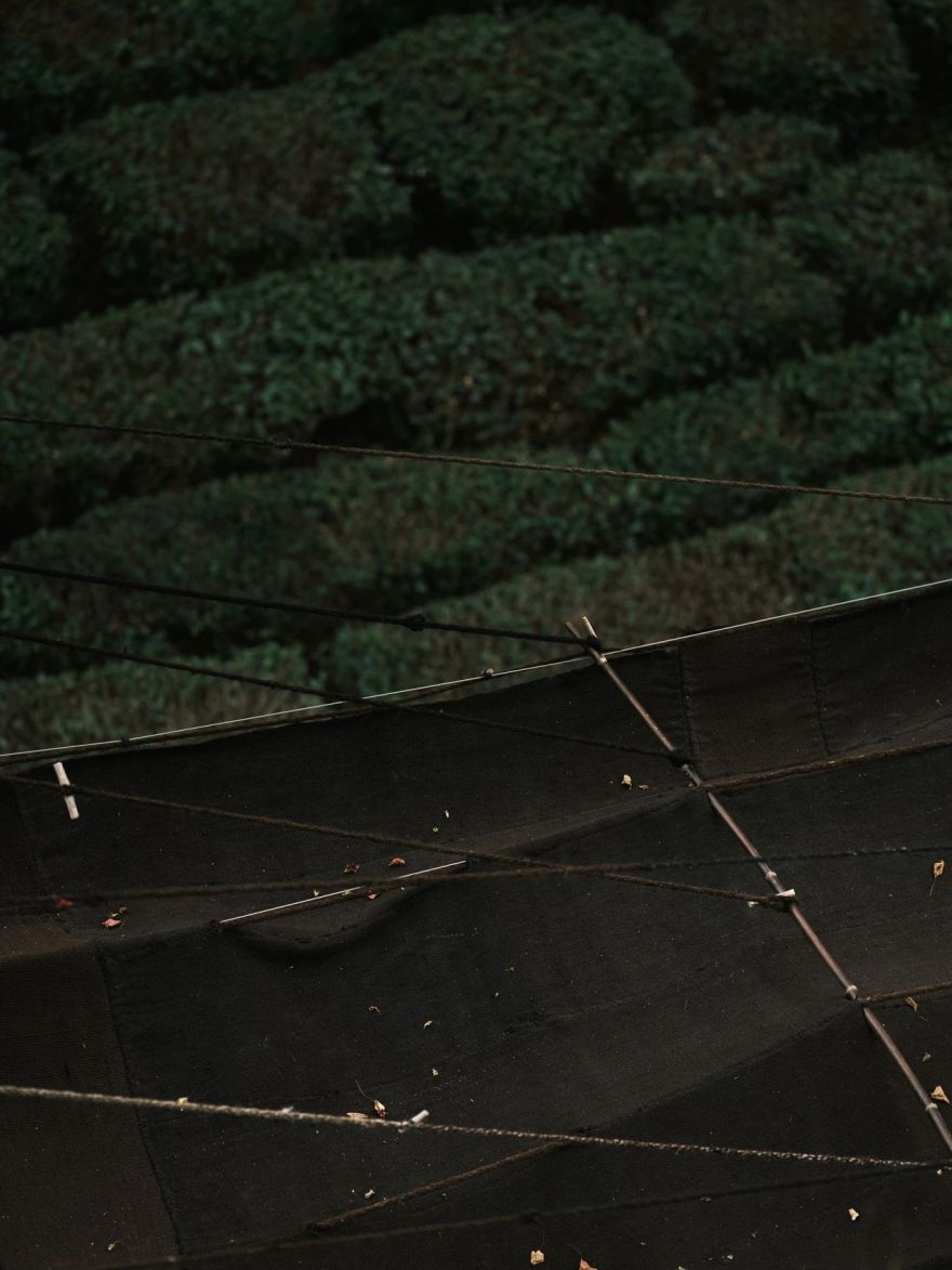 深圳湾万象城元古雲境餐厅,杭州灵隐寺元古觀山丨中国杭州丨无之设计-32