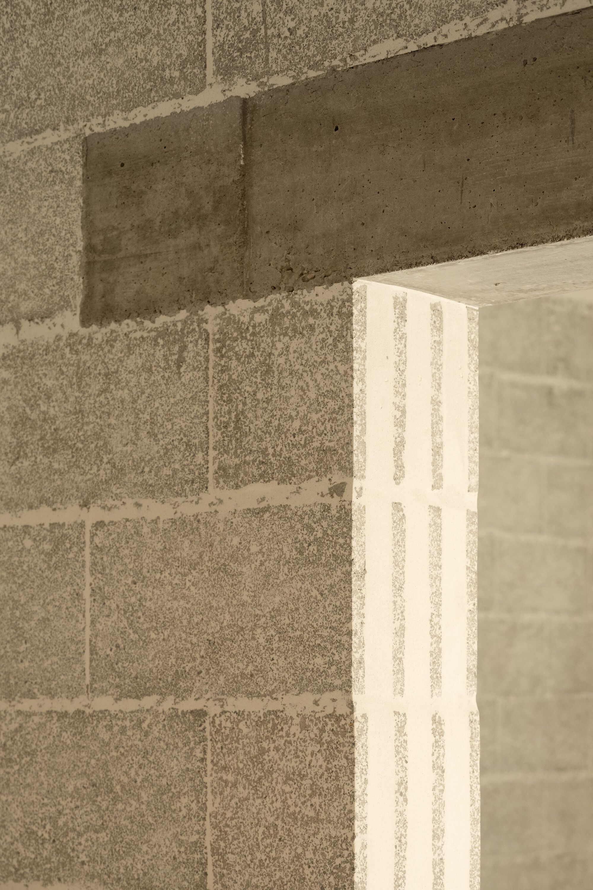 吉列姆和卡蒂的家丨西班牙丨TEd’A arquitectes-44