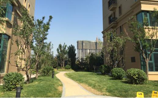 绿化设计中的地被放线手法与植物配置-96