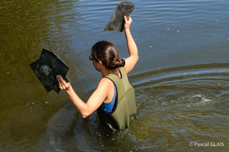 Etangs d'art 2014 :  -16