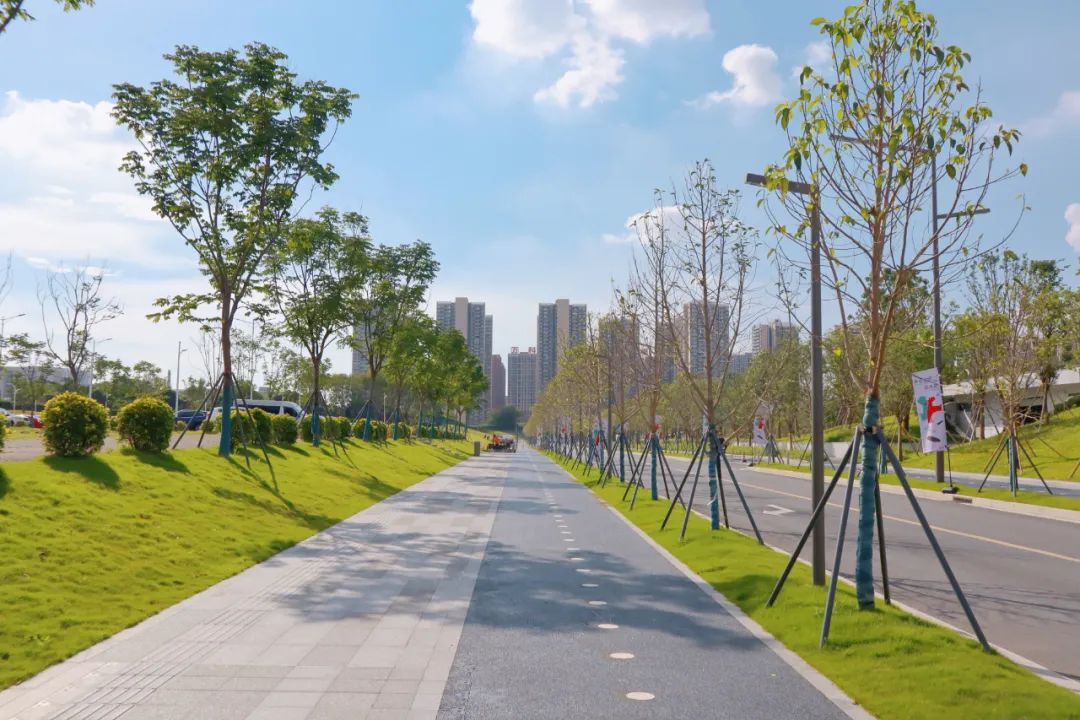 东莞国际商务区市政配套设施景观丨中国东莞丨文科园林-13