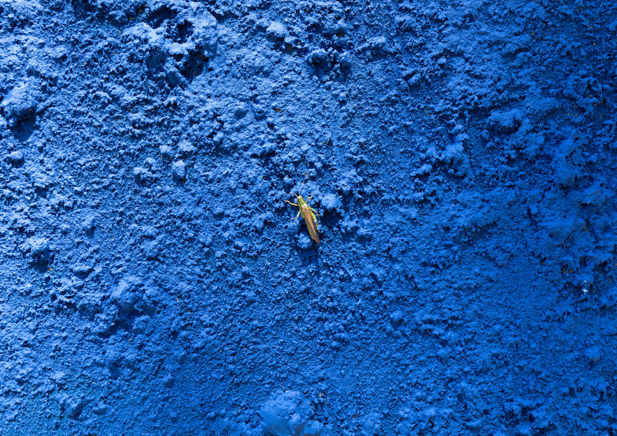 “蛇女”大地艺术装置丨日本富山丨HAJIME YOSHIDA ARCHITECTURE-36