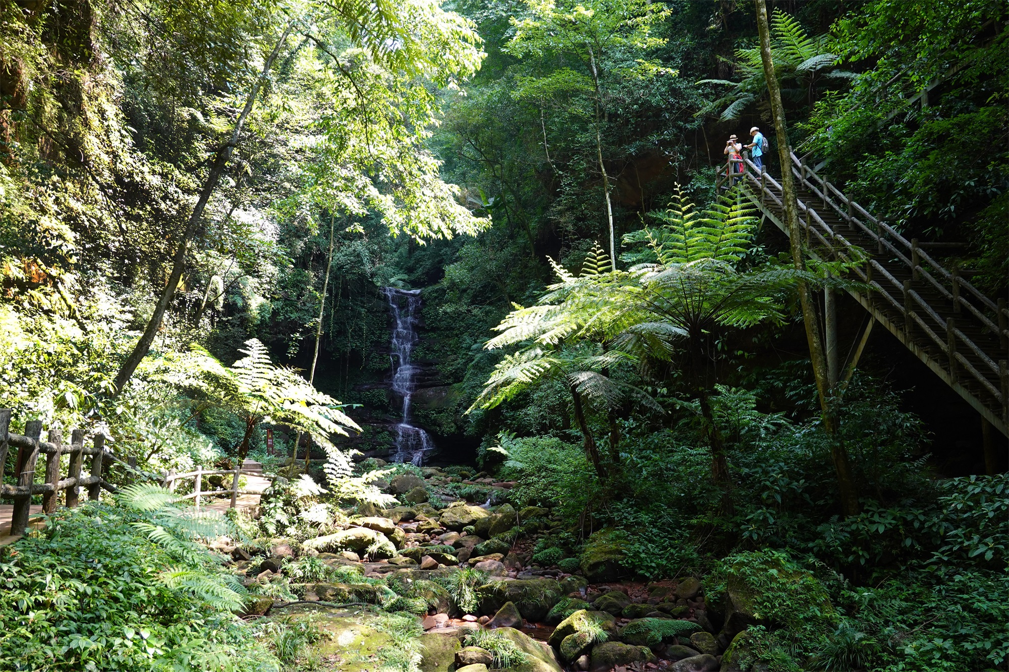 WE HOUSE 物候自然展厅丨我们在办公室造了一个植物园 / 物候设计-69