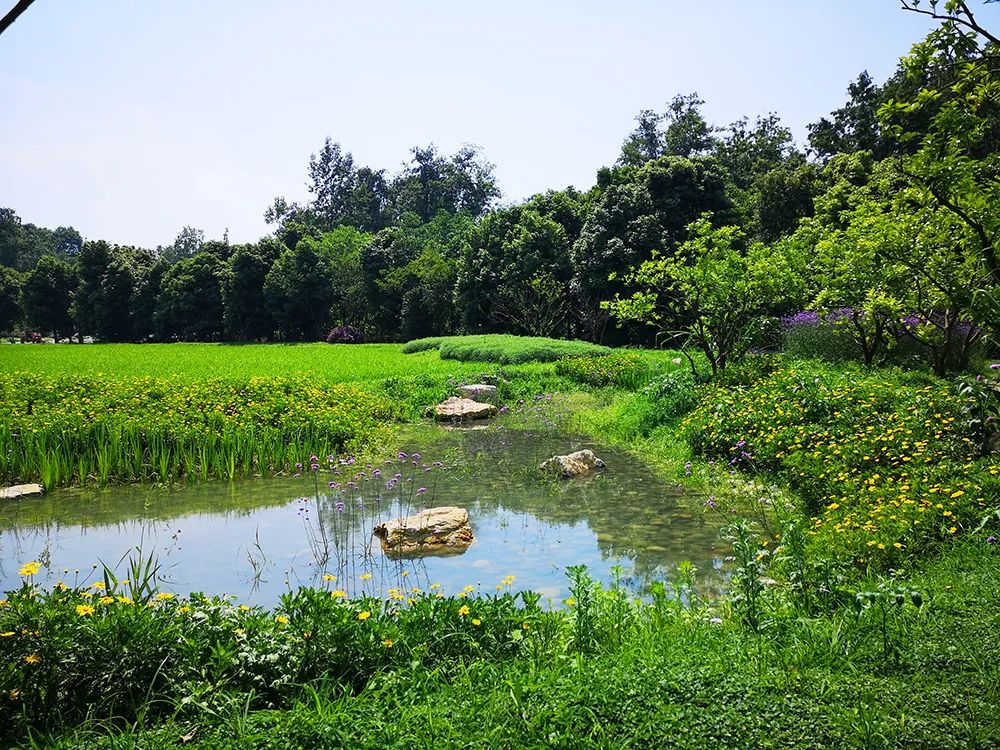 天府水岛林盘依田桃源丨中国成都丨梦景未来DDM-41