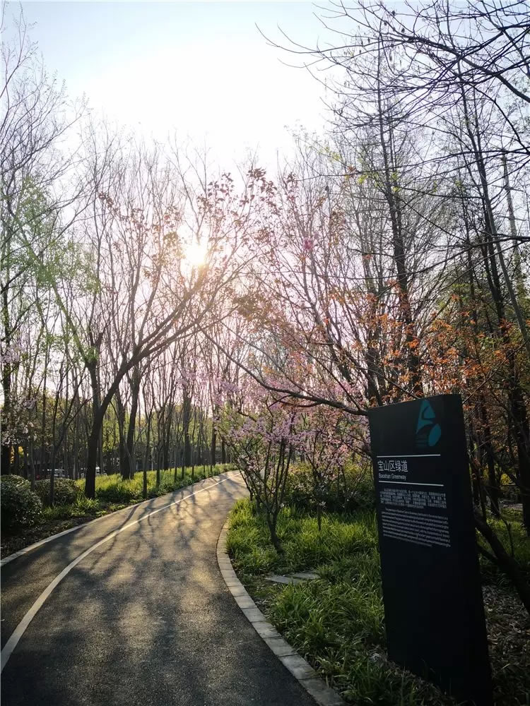 上海市宝山区城市绿色步道-66