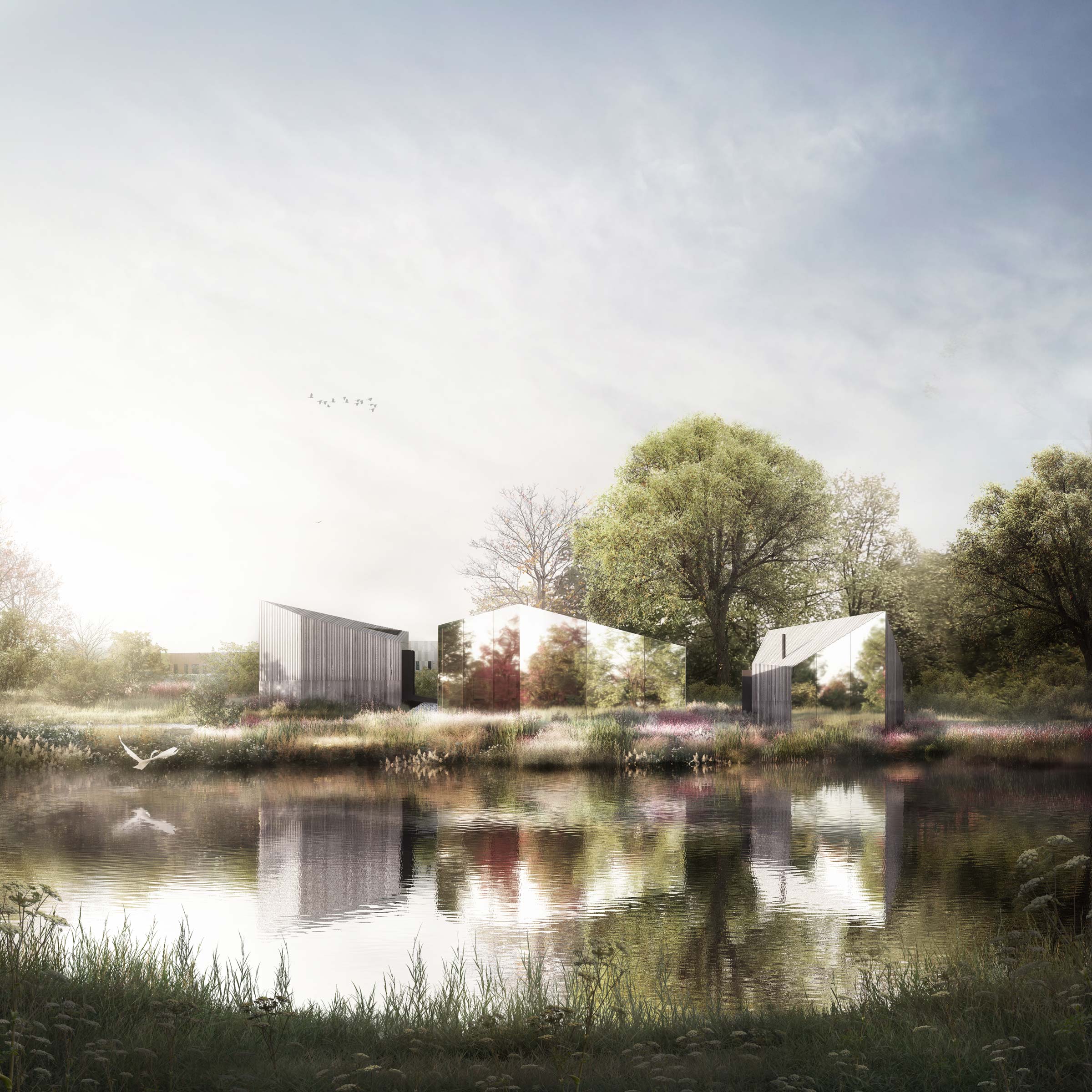 城市绿洲 | 办公室如何参与恢复自然环境-17