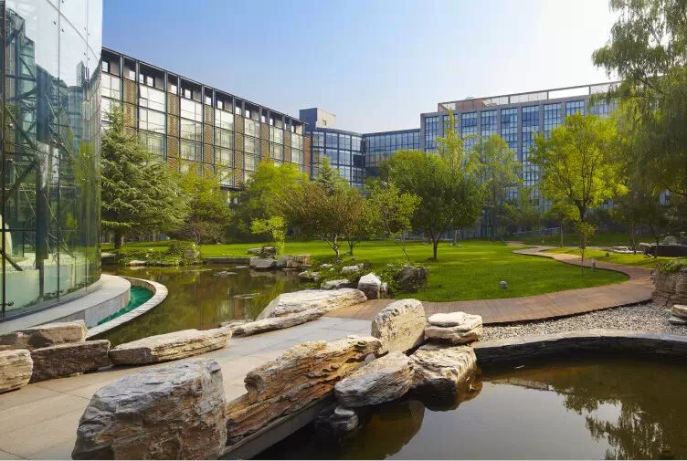 深八 | 联合国前秘书长安南进京的那些事儿-39