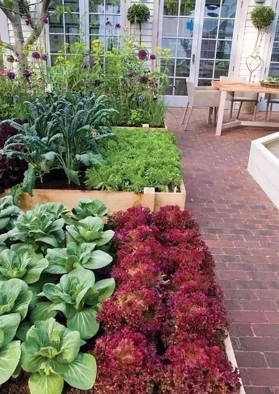 田园拾趣——汉卿菜园设计-18