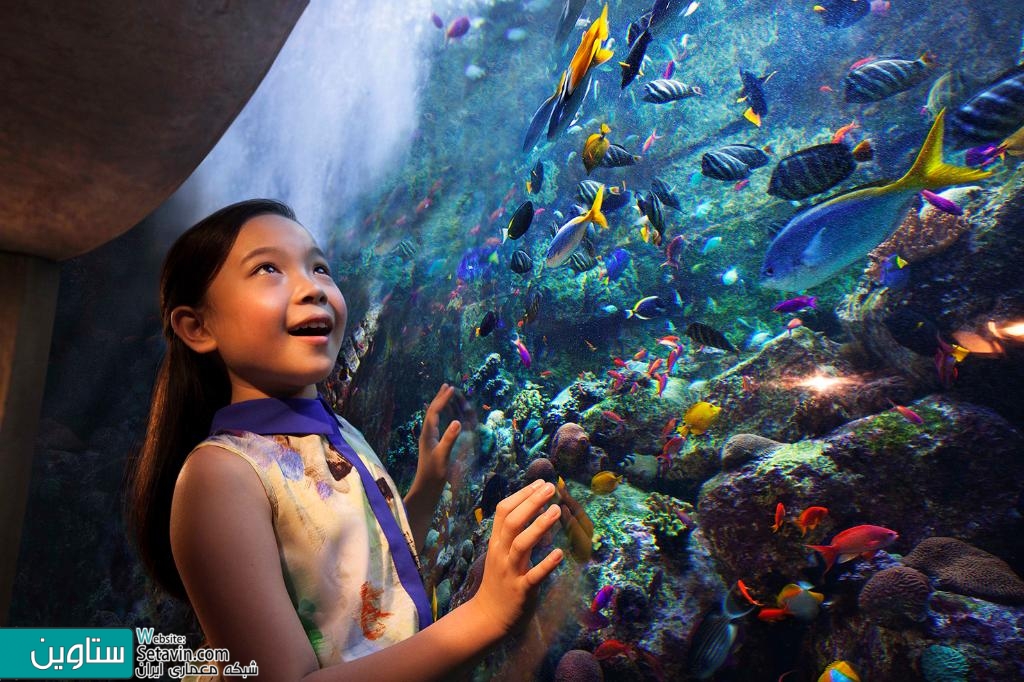 亚特兰蒂斯酒店（Atlantis The Palm）丨阿联酋迪拜-72