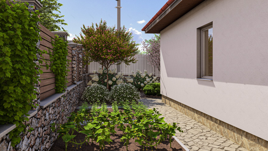 绿色绿洲中的一座温馨小屋-22