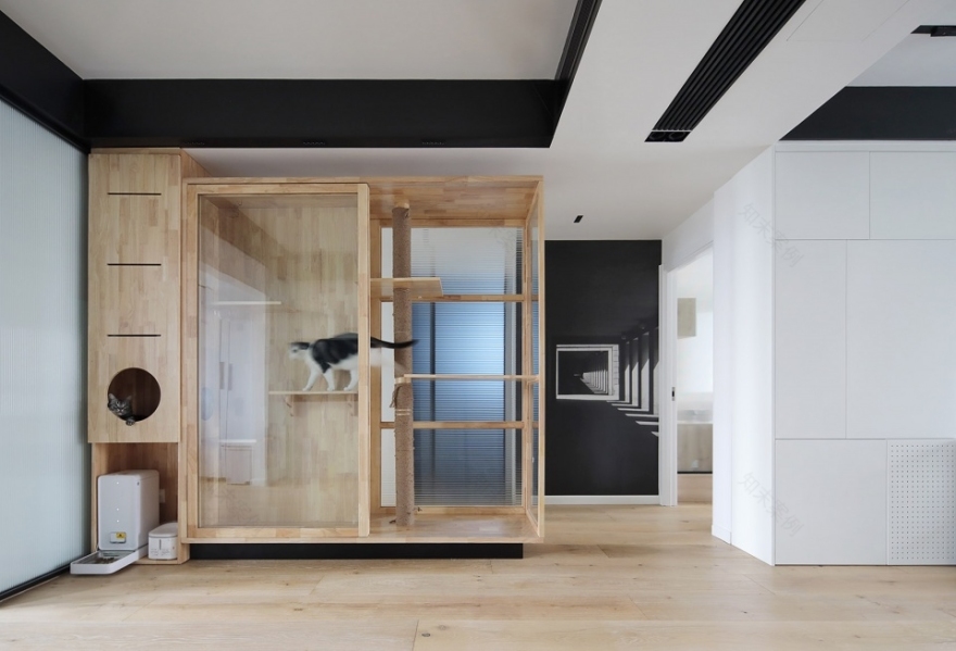 直线、消隐与猫咪乐园,北京 | 张冬月-65