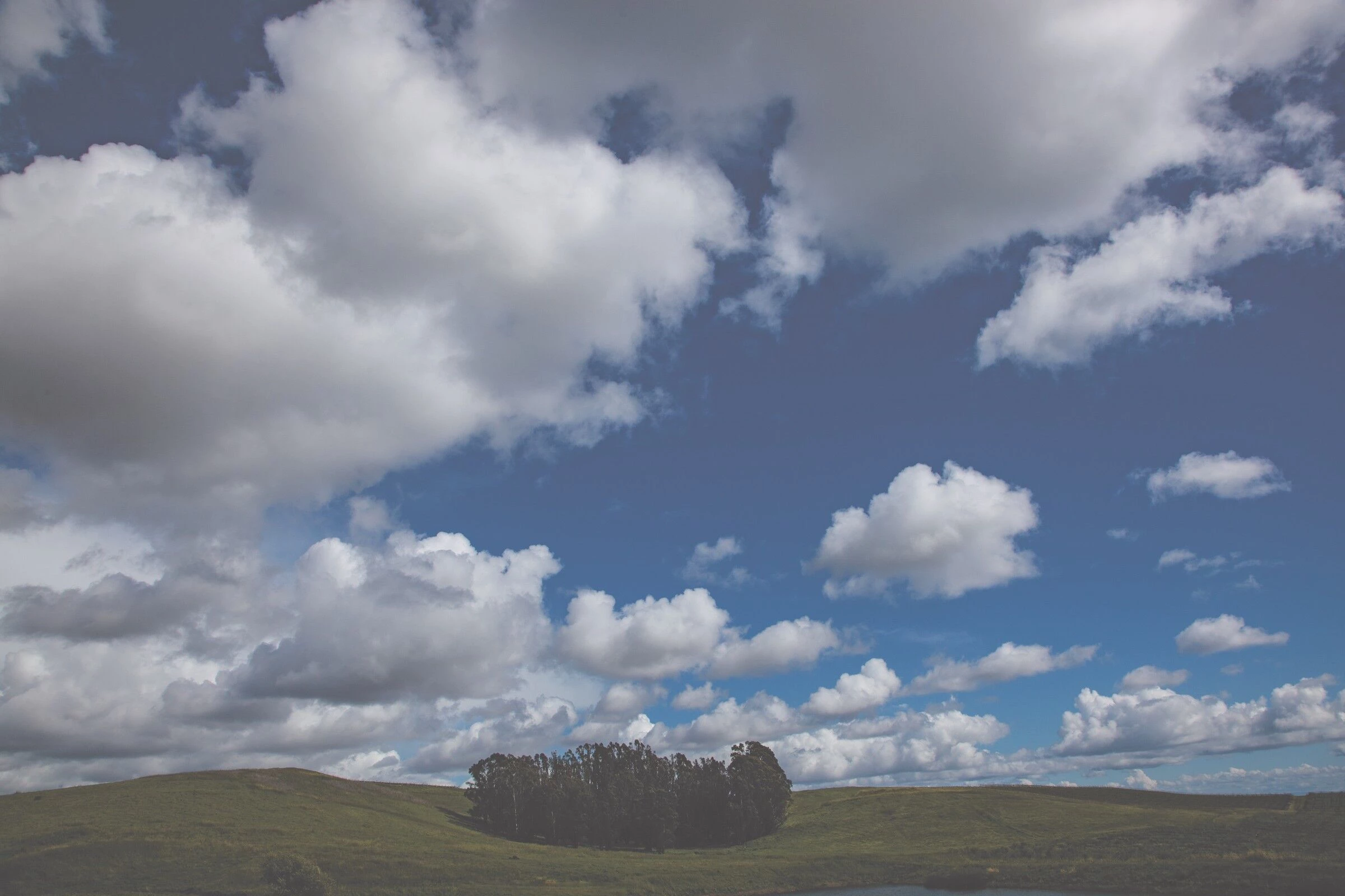 多努姆之家丨美国加利福尼亚丨Studio David Thulstrup-37