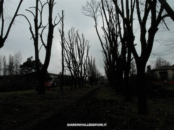 历史公园改造-13