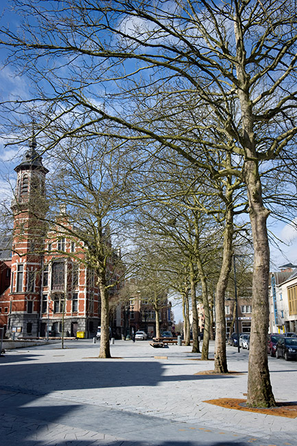 梅西耶枢机广场-14