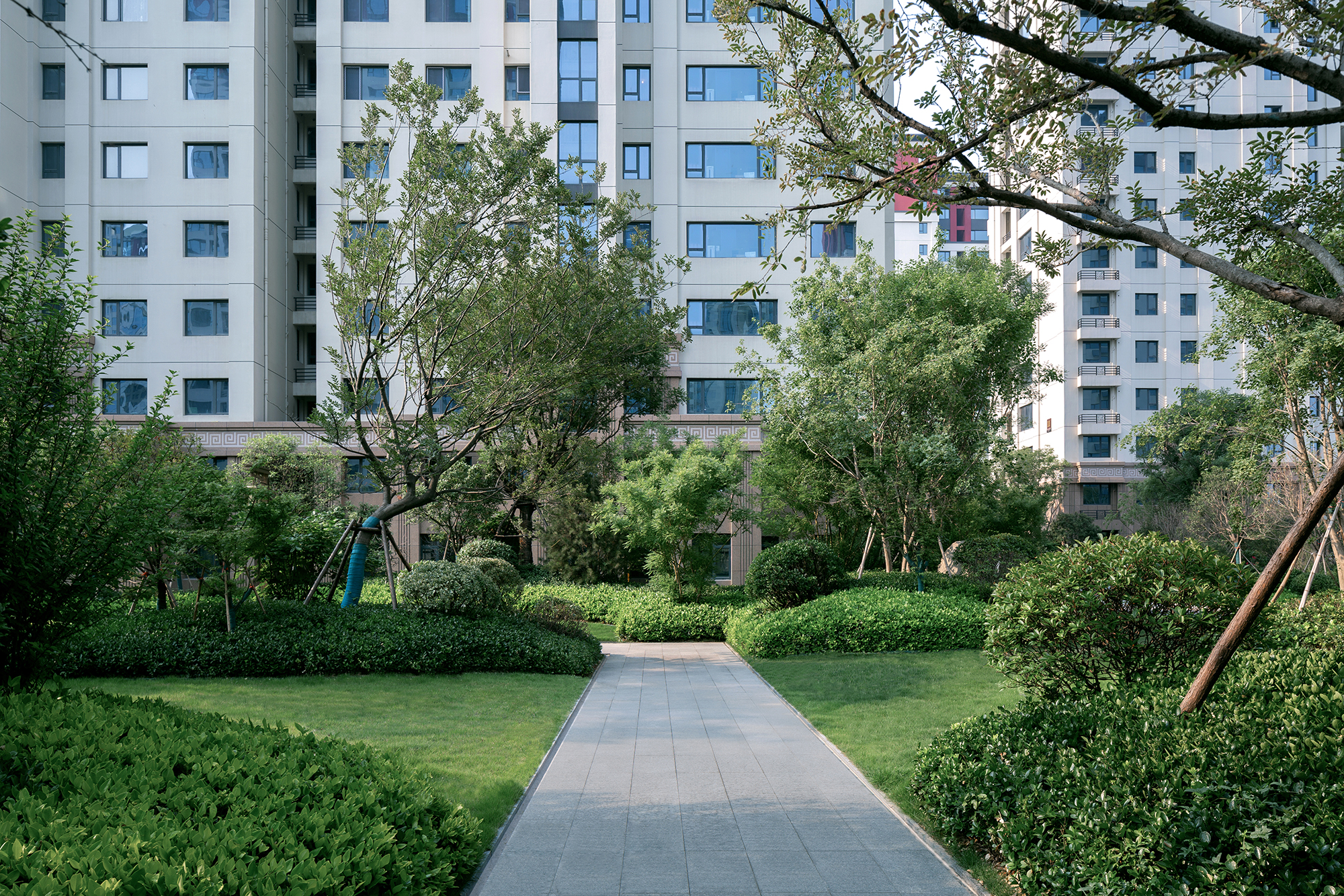 静谧书香 · 山东郓城龙翔南湖公馆景观设计丨中国山东丨DEKS 东易奇思-31