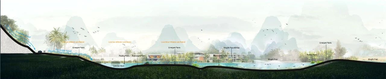 竹中诊所 - 温暖透明丨日本丨TSC Architects-172